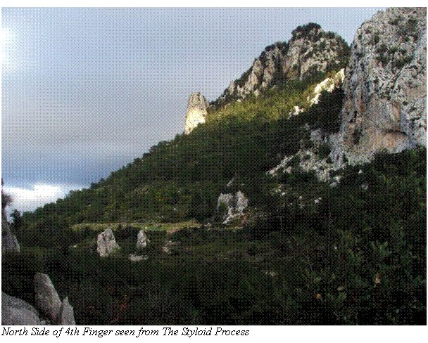 Text Box:  North Side of 4th Finger seen from The Styloid Process