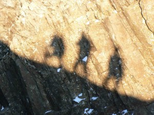 Shadows