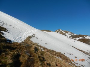 DSCN1945