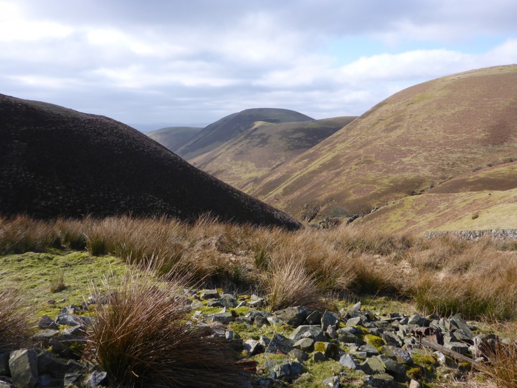 The view from Blackhill Moss