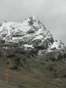 DSCN2239