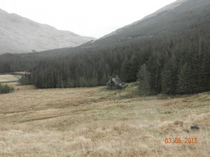 DSCN2246