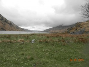 DSCN2263
