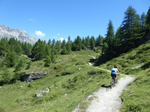42 Engadine biking