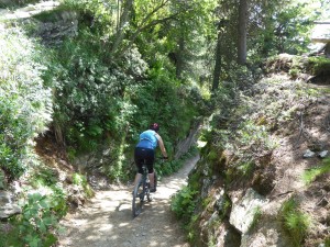 43 Engadine biking