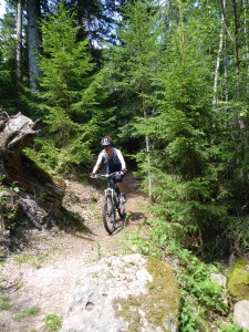 53 Vosges biking