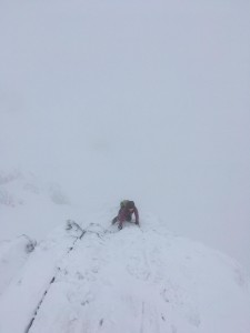 Lucile on Curved Ridge. 